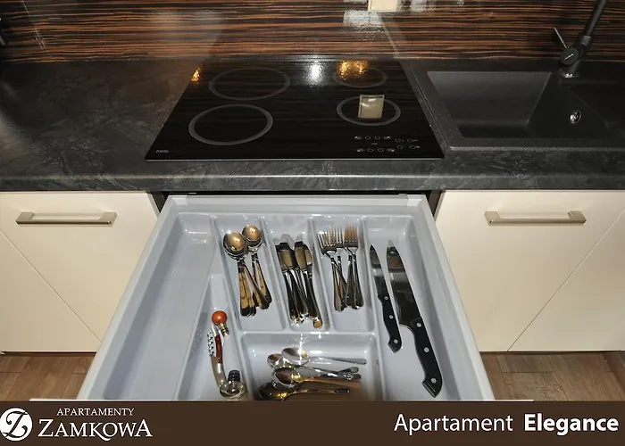 公寓式酒店 Zamkowa