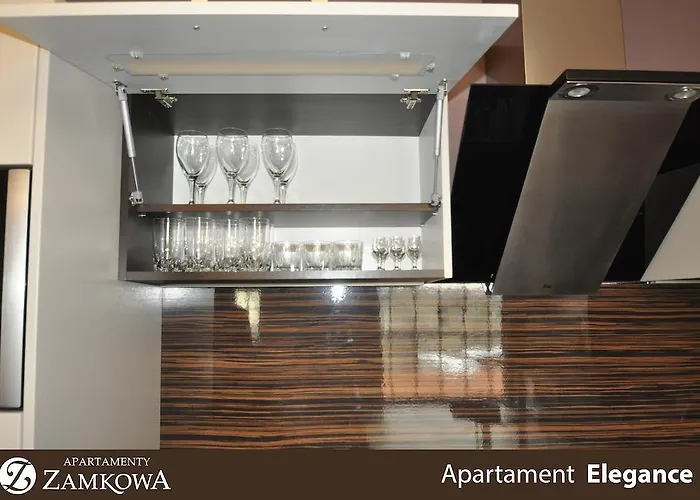 公寓式酒店 Zamkowa Pleszew